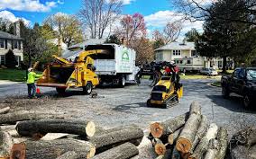 Best Sod Installation  in Rutherford, NJ